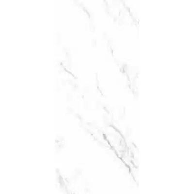 Casalgrande Padana Marmoker 2570817 Statuario Grigio Lucido D 120x278