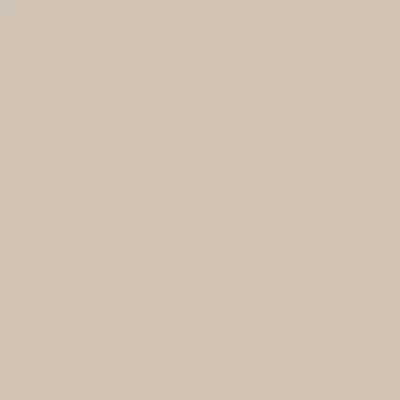 Rako Color One WAA19108 WAA19108 Бежевый 15x15