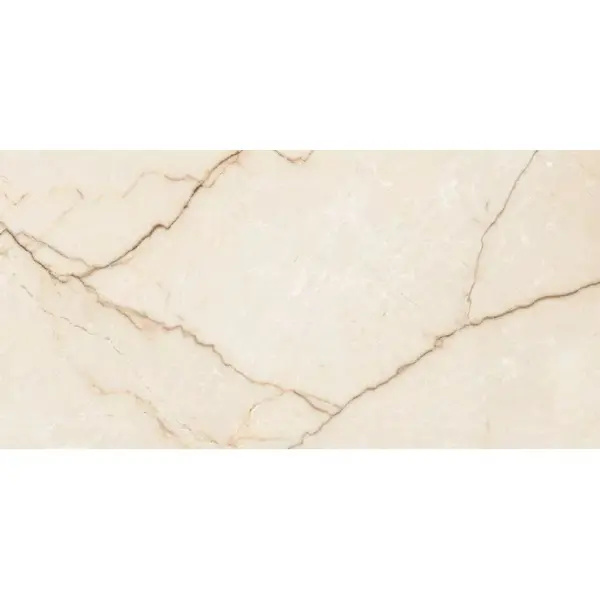 Arcadia Ceramica Rifei FP9004-CF Etna Brown 60x120