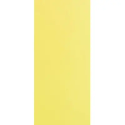Azori Палитра Жёлтая 20,1x50,5