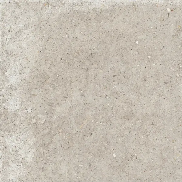 Ariana Anima 0006056 Beige Nat Ret 60x60 - керамическая плитка и керамогранит