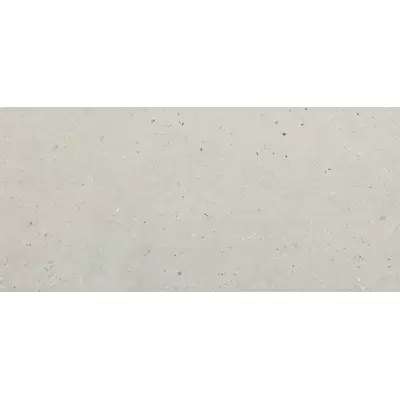 Impronta italgraniti Silver Grain SI03XPA Grey 120x280
