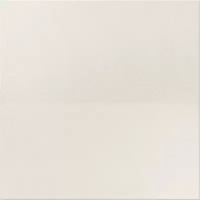 Уральский гранит Стандарт U100PR Молочный Полированный 60x60