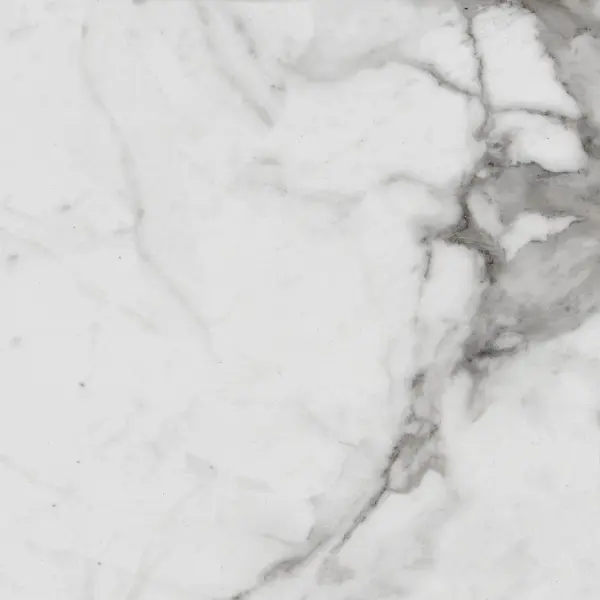Primavera Royce R_PR1005 Carrara Betria Polished 60x60
