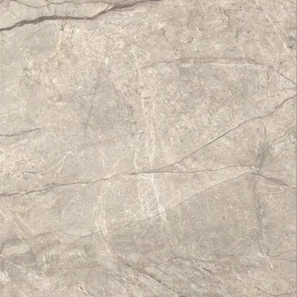 Caesar Anima Futura AIAH Amazing Silver Liscio Matt 120x120 - керамическая плитка и керамогранит