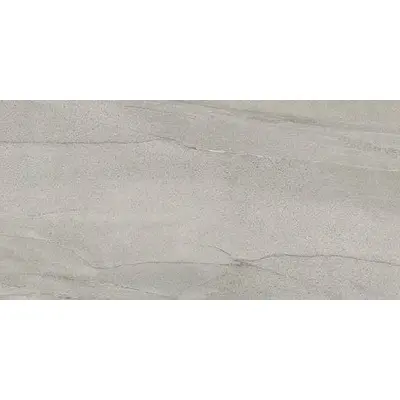 Stone Design Cement SGF.MMG.MGR.PLC 100x300