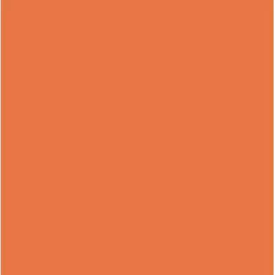 Rako Color One WAA1N450 Оранжевая 20x20