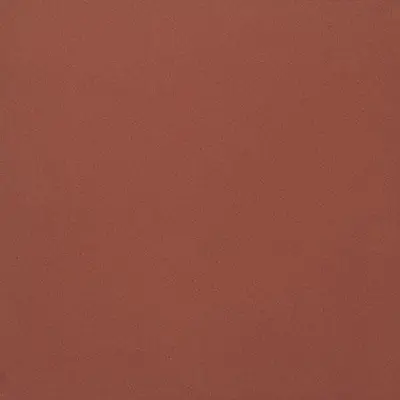 Casalgrande Padana Unicolore Technic Rosso Mattone Levigato 8,5mm 40x40