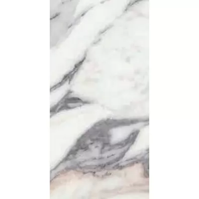 Rex Ceramiche Les Origines 769851 Argent Glossy Ret 60x30