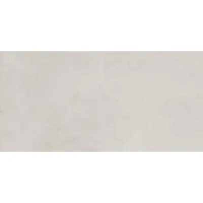 Laparet Evolution SG50001020R Blanco белый матовый карвинг 60x119,5