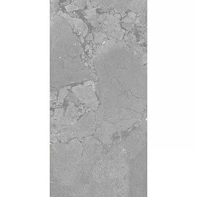 Apavisa Natura 8431940350771 Grey Natural 29.75x59.55