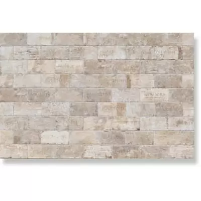 Serenissima Cir Chicago Citi Mix South Side 10x20