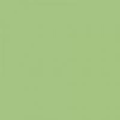 Rako Color One WAA19465 Зелёный Матовая 14,8x14,8