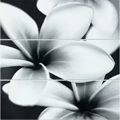 Meissen (Mei) Pret-a-Porter UG2U093D Pret a Porter Flower Grey 75x75
