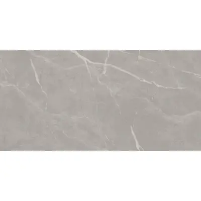 Art Ceramic Clovia Gris Glossy 60x120