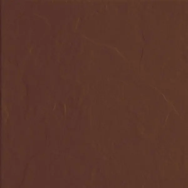 Cerrad Brown 5903263445487 Tile Rustiko 30x30