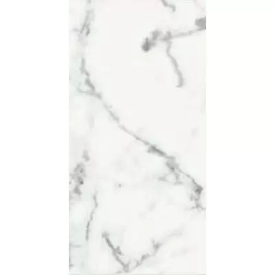 Rex Ceramiche Les Origines 769852 Blanc Glossy Ret 60x30