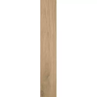 Casalgrande Padana Tavolato Marrone Chiaro Antibacteri 20x120