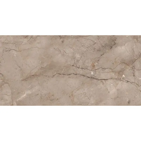 Modern Tile Wild Forest Muka Glossy 60x120
