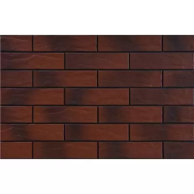 Cerrad Burgund 9584 Rustic 24.5x6.5