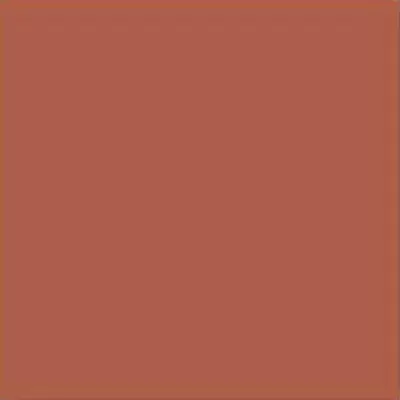Vives monocolor Teja 20x20
