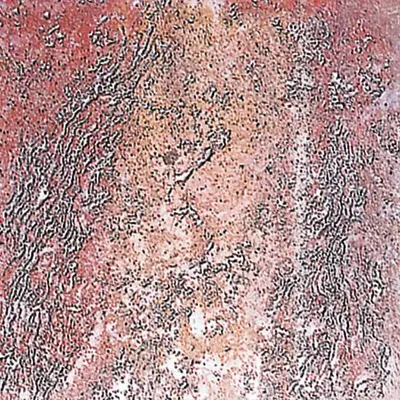 Saicis Pan di stelle Rosso 30x30