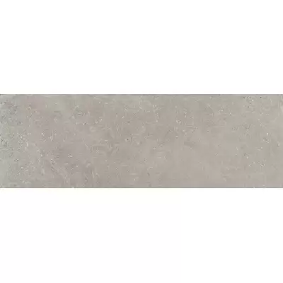 Panaria Prime Stone PG2PMS2 Silver Strutturato 20x60