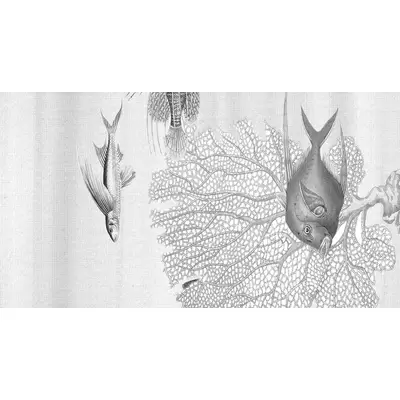 Ornamenta Operae OP120278AQG Aquarium Grey 120x278