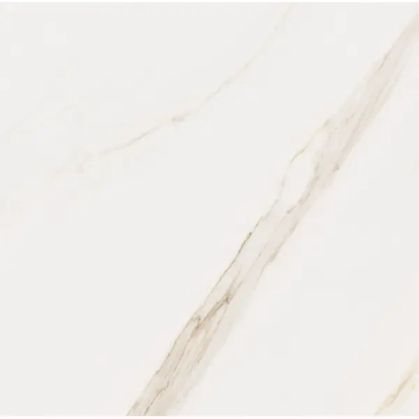 Cerdomus Omnia 88938 Calacatta Matt Ret 60x60