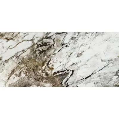 Naxos Rhapsody 121223 Fantasy Lev Rett 120x260