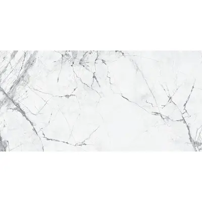 Zodiac Ceramica Impire Gray MN12TD048 60x120