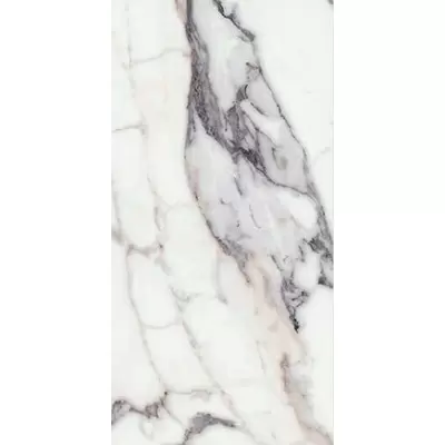 Rex Ceramiche Les Origines 769983 Argent Glossy 6мм 60x120