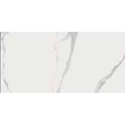 Rex Ceramiche I Classici Di Rex 749833 Statuario Chain D Glossy 120x240