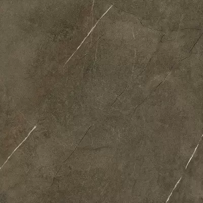Venis Assuan Brown 59.6x59.6