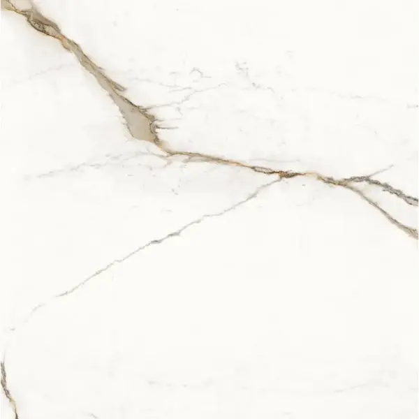Provenza Unique Marble ELDR Paonazzetto Silktech Ret 120x120