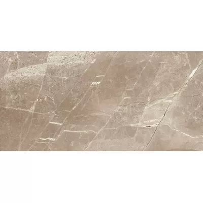 Pamesa Marbles Kashmir Taupe 60x120