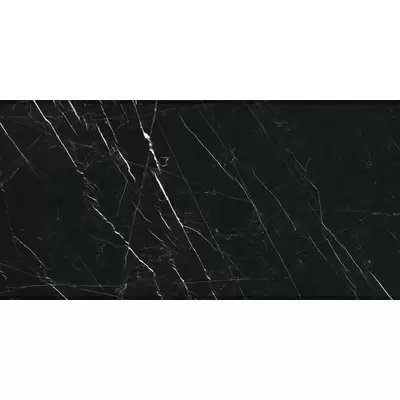 Ariostea Marmi Classici Nero Marquine lev silk 60x120