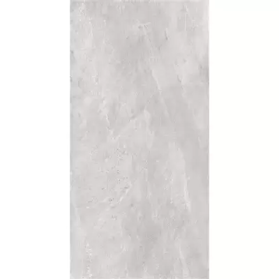 Sina Tile Earth 2614 Light grey polish 60x120