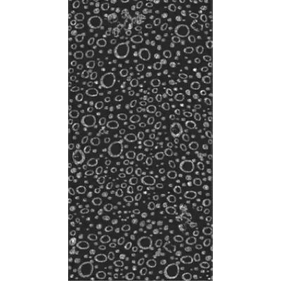 Dual Gres Buxy Modus London Descanso Flow 30x60