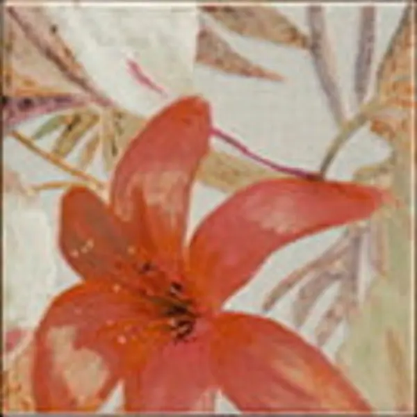 Mainzu Bangkok 15 15x15