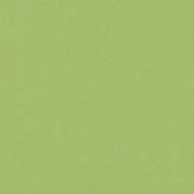 Casalgrande Padana Architecture 3996412 Acid Green Gloss 90x90