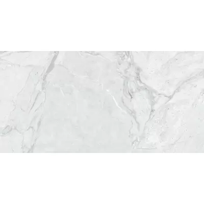 Italica Agnesina Bianco Matt Carving 60x120