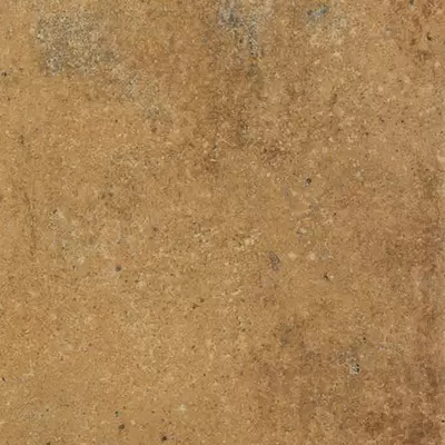 Rako Siena DAR2W664 Brown 22.5x22.5