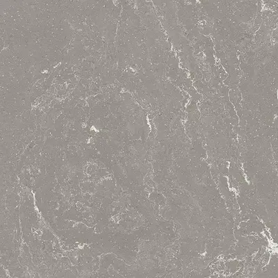 Ceramica Fioranese I Variegati IV903R Cenere 90x90