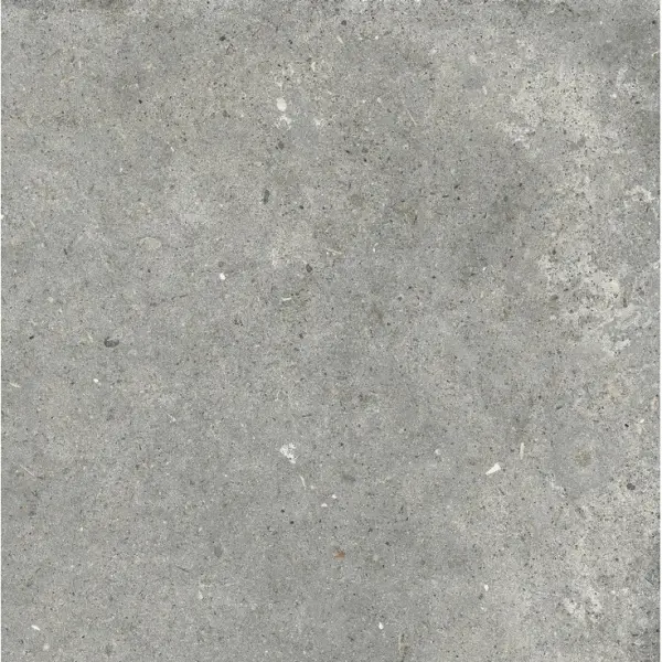 Ariana Anima 0006058 Grigio Nat Ret 60x60 - керамическая плитка и керамогранит