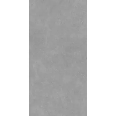 Kerama Marazzi Про Стоун DD590700R Серый матовый обрезной 119,5x238,5