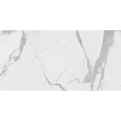 Rak Ceramics Calacatta Extra White Face 1 PL 6mm 120x260