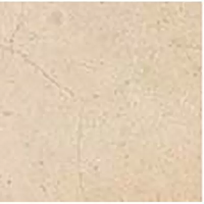 Vives Laverton Taco Lydd Beige 4x4