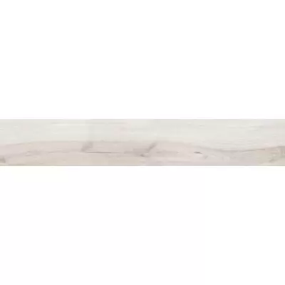 Gardenia Orchidea Just Color 58600N White 20x120