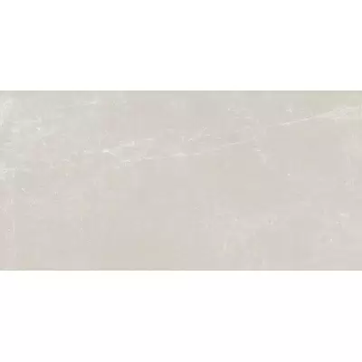 Monocibec Ceramiche Evolution 113556 Planet Naturale Rettificato 60x120